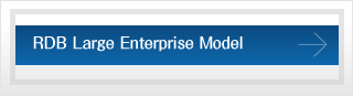 RDB Large Enterprise Model