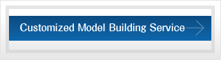 Customized Model Building Service