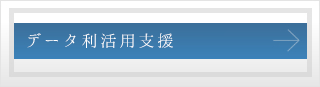データ利活用支援